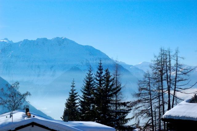 Le Chalet de Flore by null