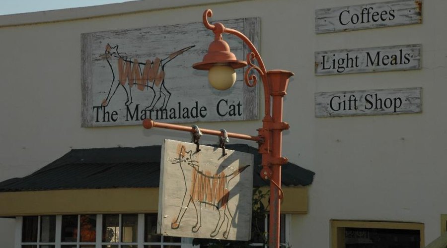 The Marmalade Cat
