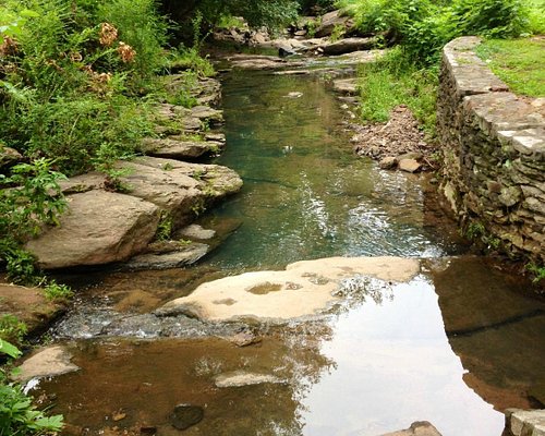 10 Best Parks in Atlanta - Where To Go To Enjoy Natural Beauty In