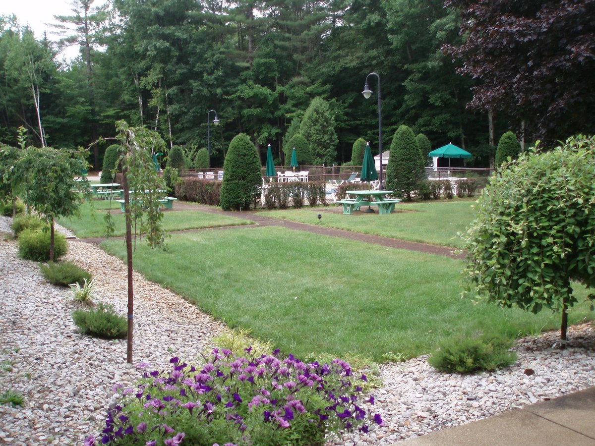 Golden Apple Inn Pool Pictures & Reviews - Tripadvisor