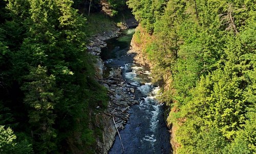 A view from the bridge of quechee gorge