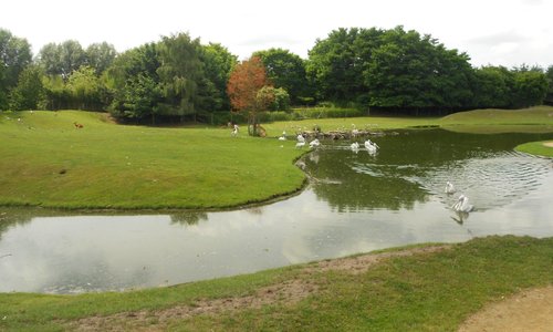 Bird Island