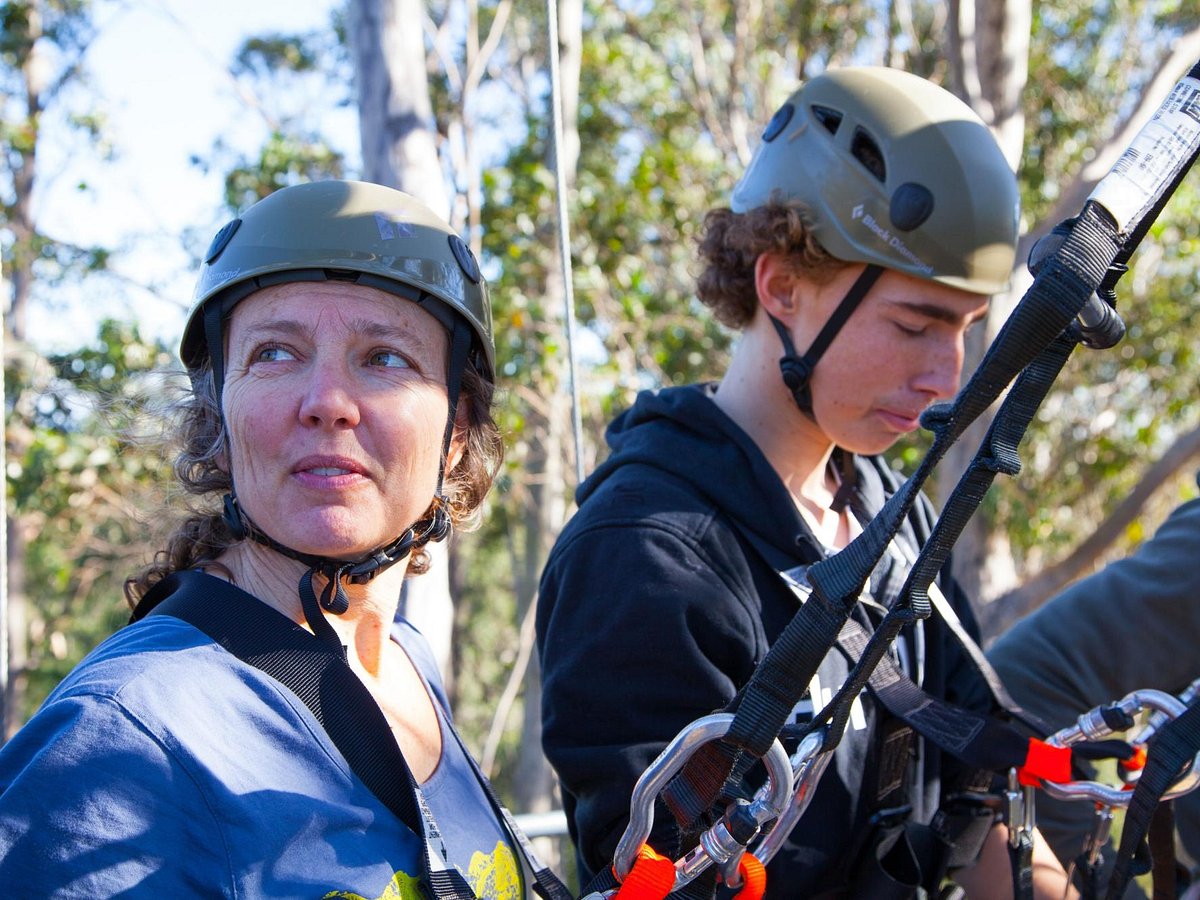 treetop safari