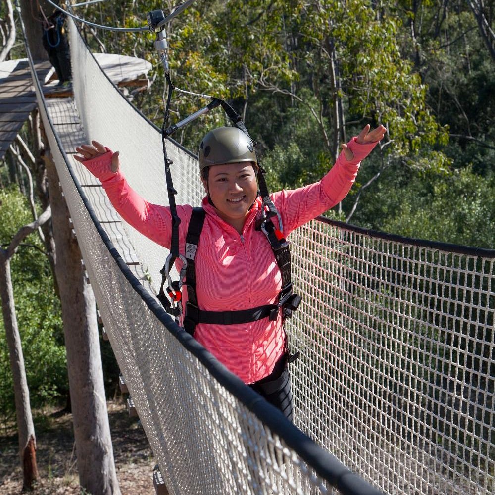 treetop safari