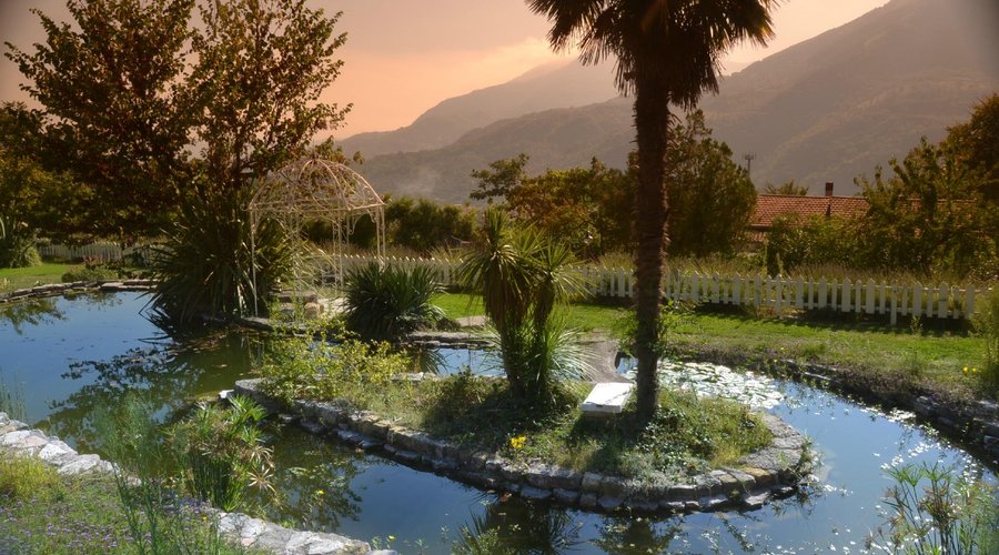 I colori del nostro giardino
