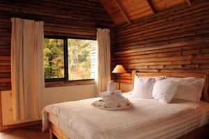 Room & Suite