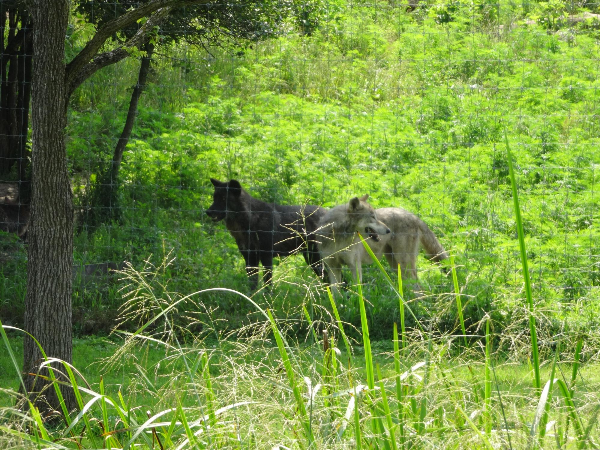 BRANT CONSERVATION AREA (Brantford) - 2023 What To Know BEFORE You Go