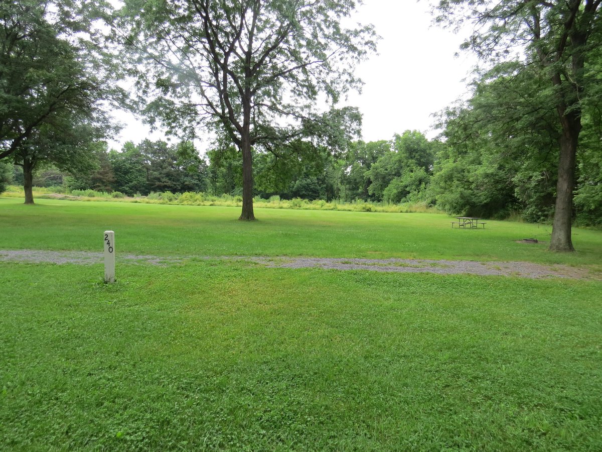 Red, White, and Blue Fun: Celebrate Independence Day at Sampson State Park