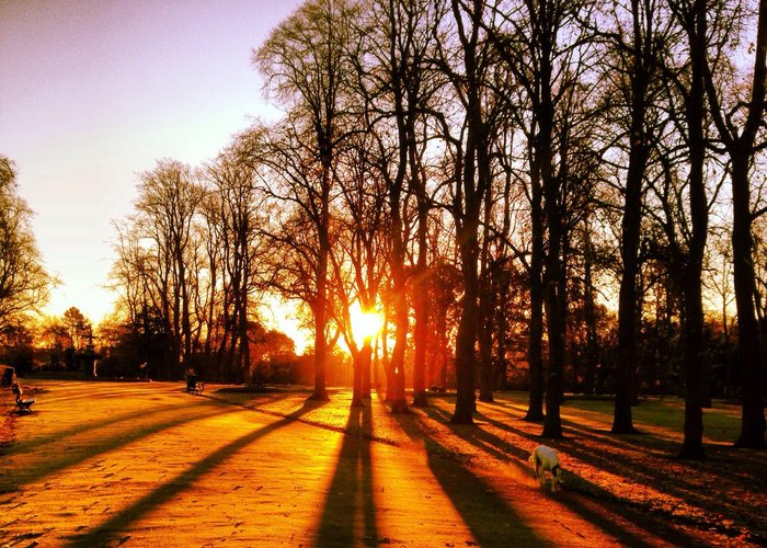 Ropner park on a morning dog walk, beautiful and serene!