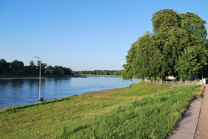 The bank of the river Elbe