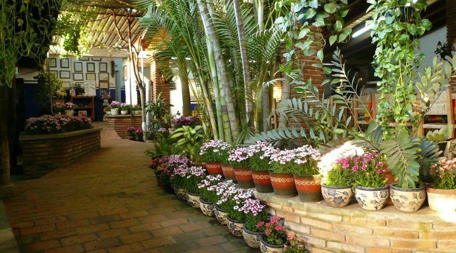 Andador vista floral