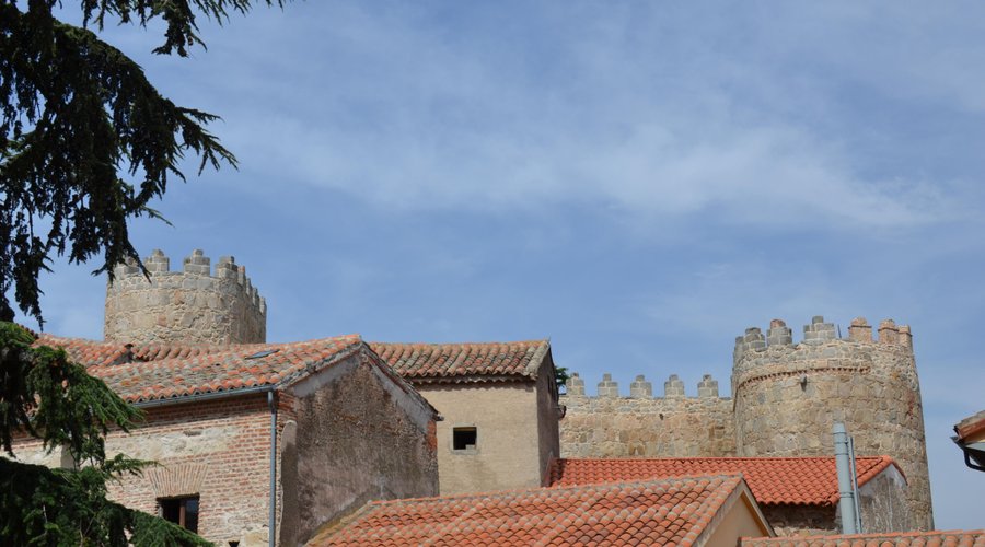 Detalhes de tetos e muralha ao fundo