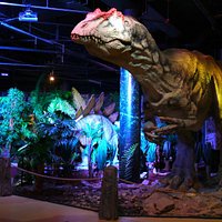 Allosaurus, DinoPark Liberec