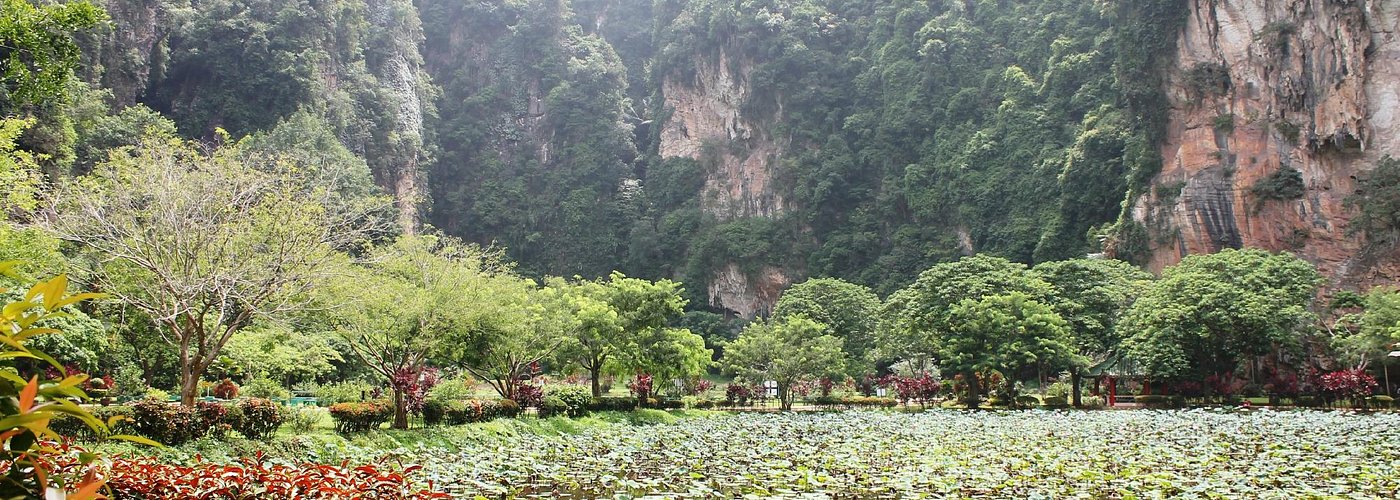 THe huge lily ponds have a backdrop of the limestone hills