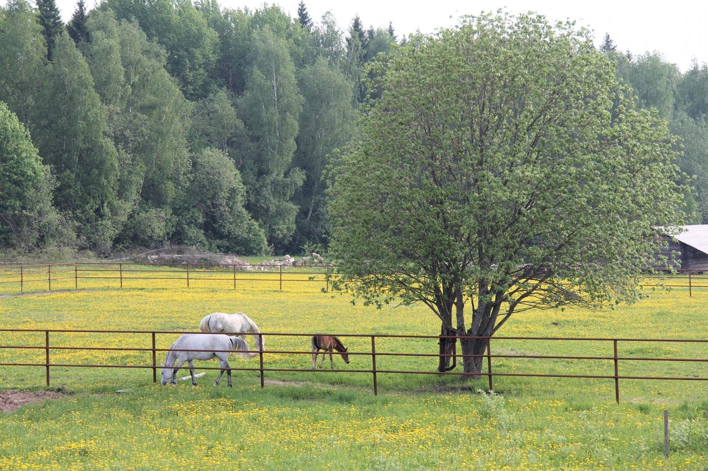 Vankovo Eco-Farm (Mozhaysk) - 호텔 리뷰