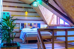 Habitación y suite
