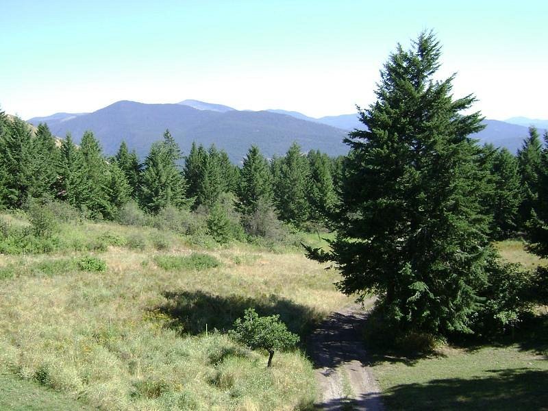 Ponderosa Pines Mountain Spa British Columbia Canada