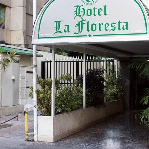 Hotel La Floresta image