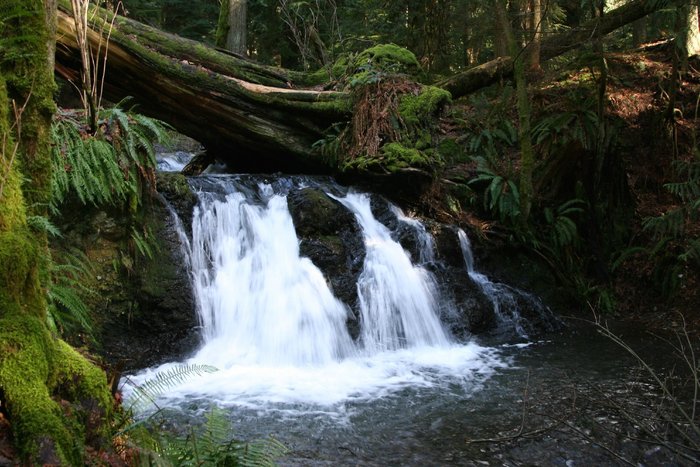 waterfall in Moran