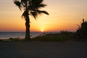 الغرفة والجناح
