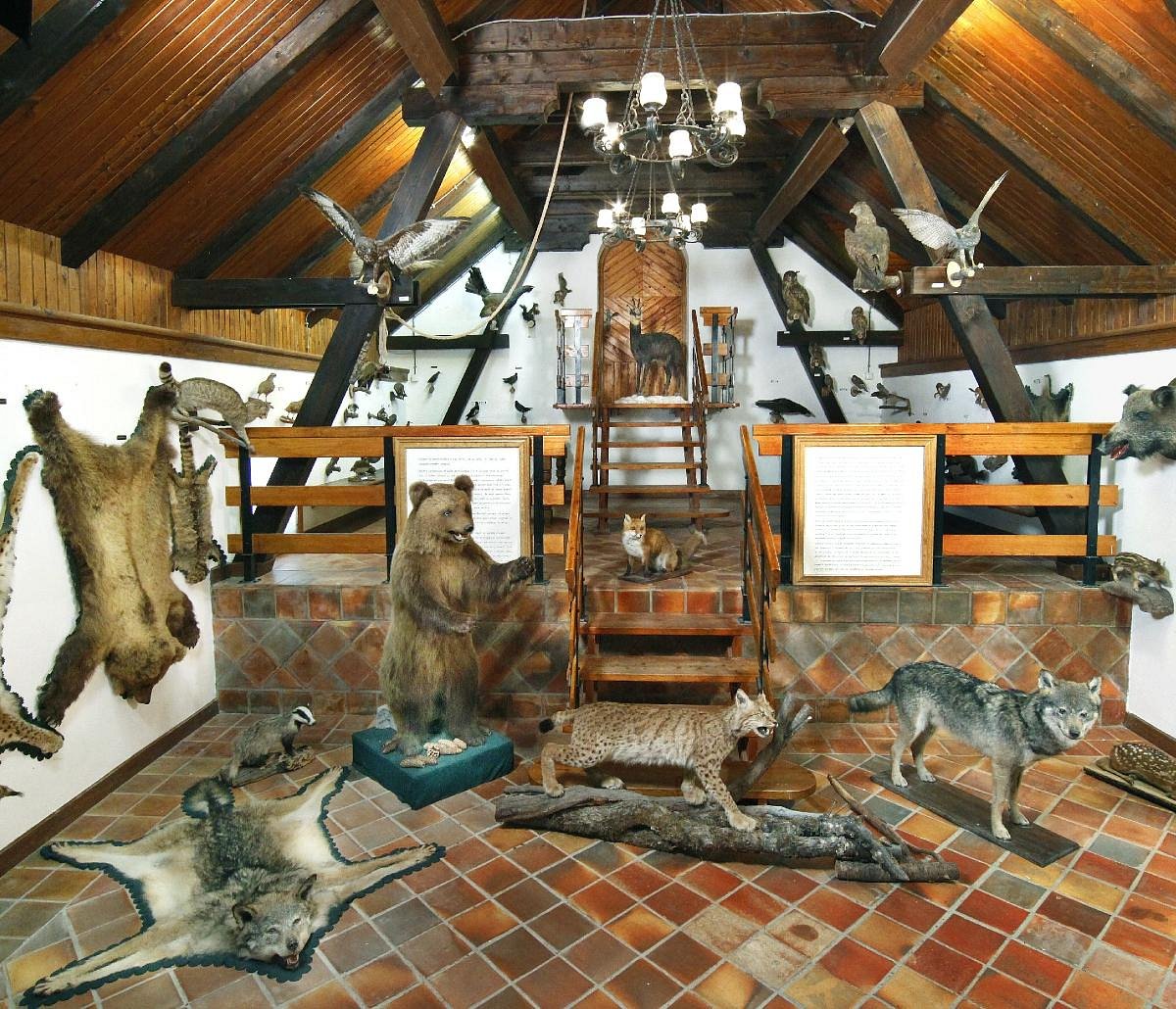 Hunting Collection And Dormouse Museum Stari Trg Pri Lozu 2022 Qué