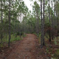 Conservation Park (Panama City Beach) - All You Need to Know BEFORE You Go