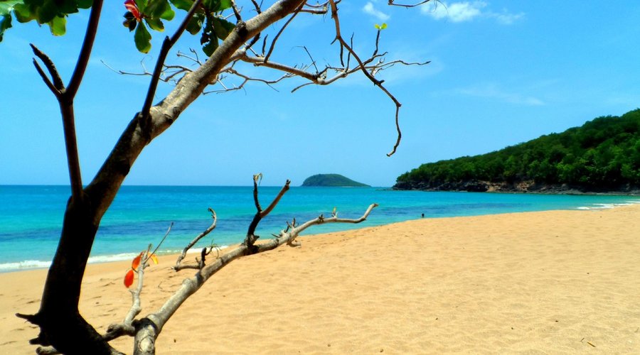 Plage /beach La Perle