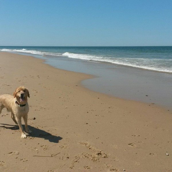 Longnook Beach (Truro) - All You Need to Know BEFORE You Go