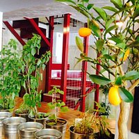 getlstd_property_photo