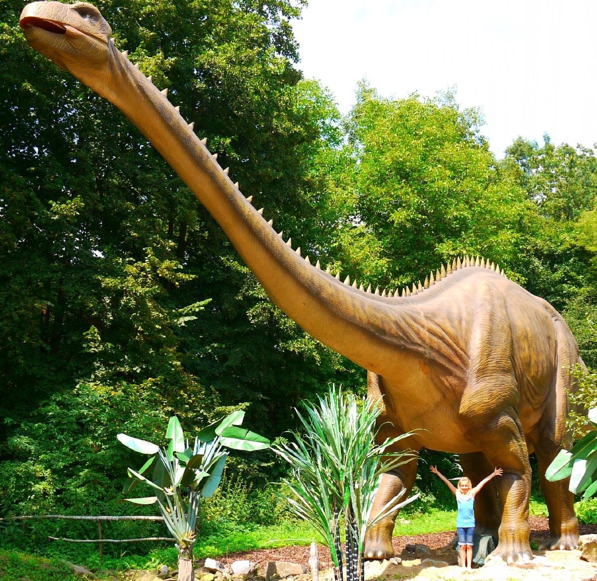 DinoPark Vyskov: All You Need to Know BEFORE You Go