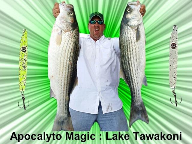 Tawakoni Fishing Guide image