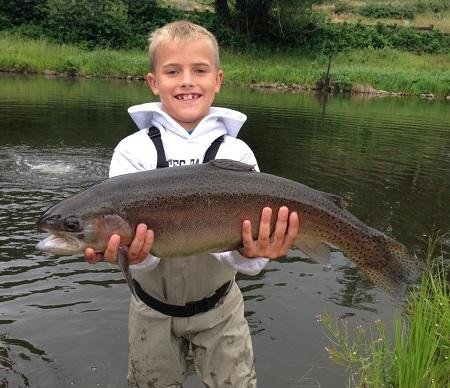 Guided Fly Fishing, Estes Park