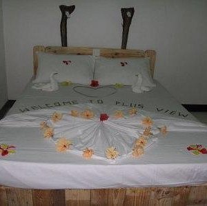 Plus view bed