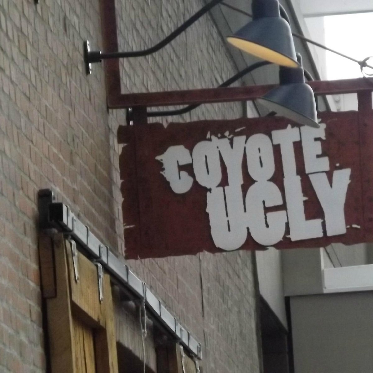 Top 90+ Images coyote ugly saloon denver photos Updated