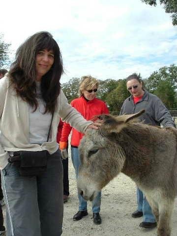 Black Beauty Ranch (Murchison) - All You Need to Know BEFORE You Go