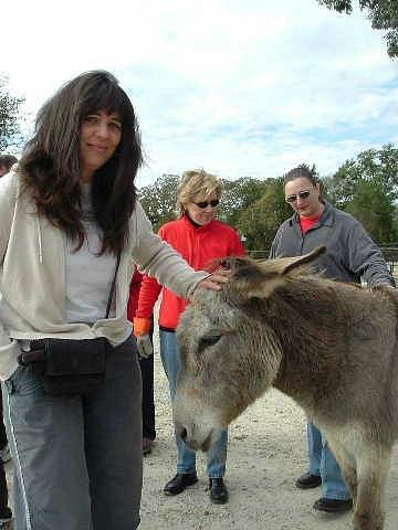 Black Beauty Ranch (Murchison) - All You Need to Know BEFORE You Go Black Beauty Ranch (Murchison) - All You Need to Know BEFORE You Go