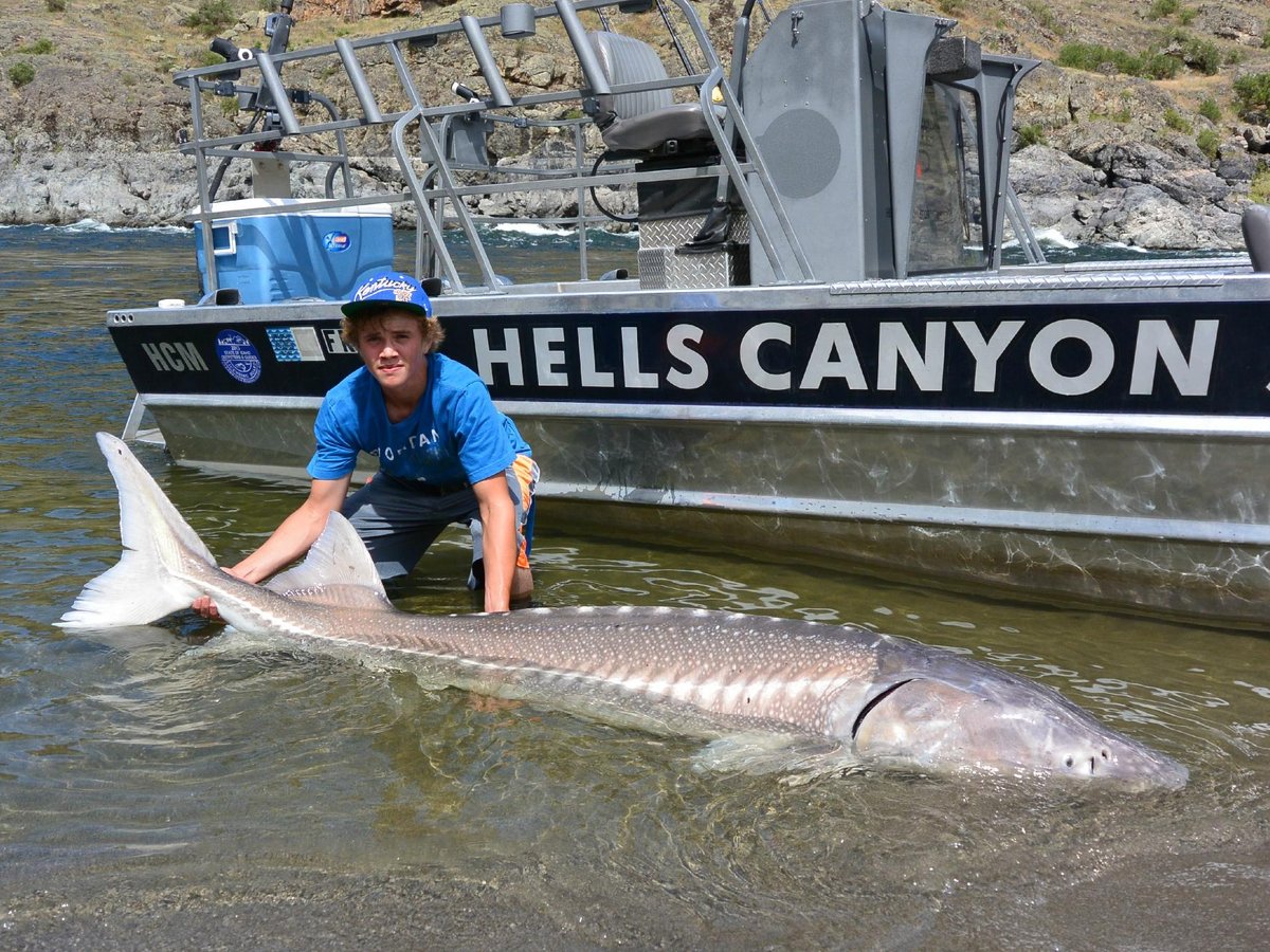 Hells Canyon Sport Fishing