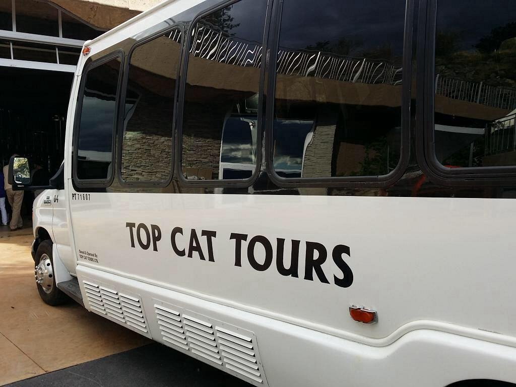 top cat wine tours and charters reviews