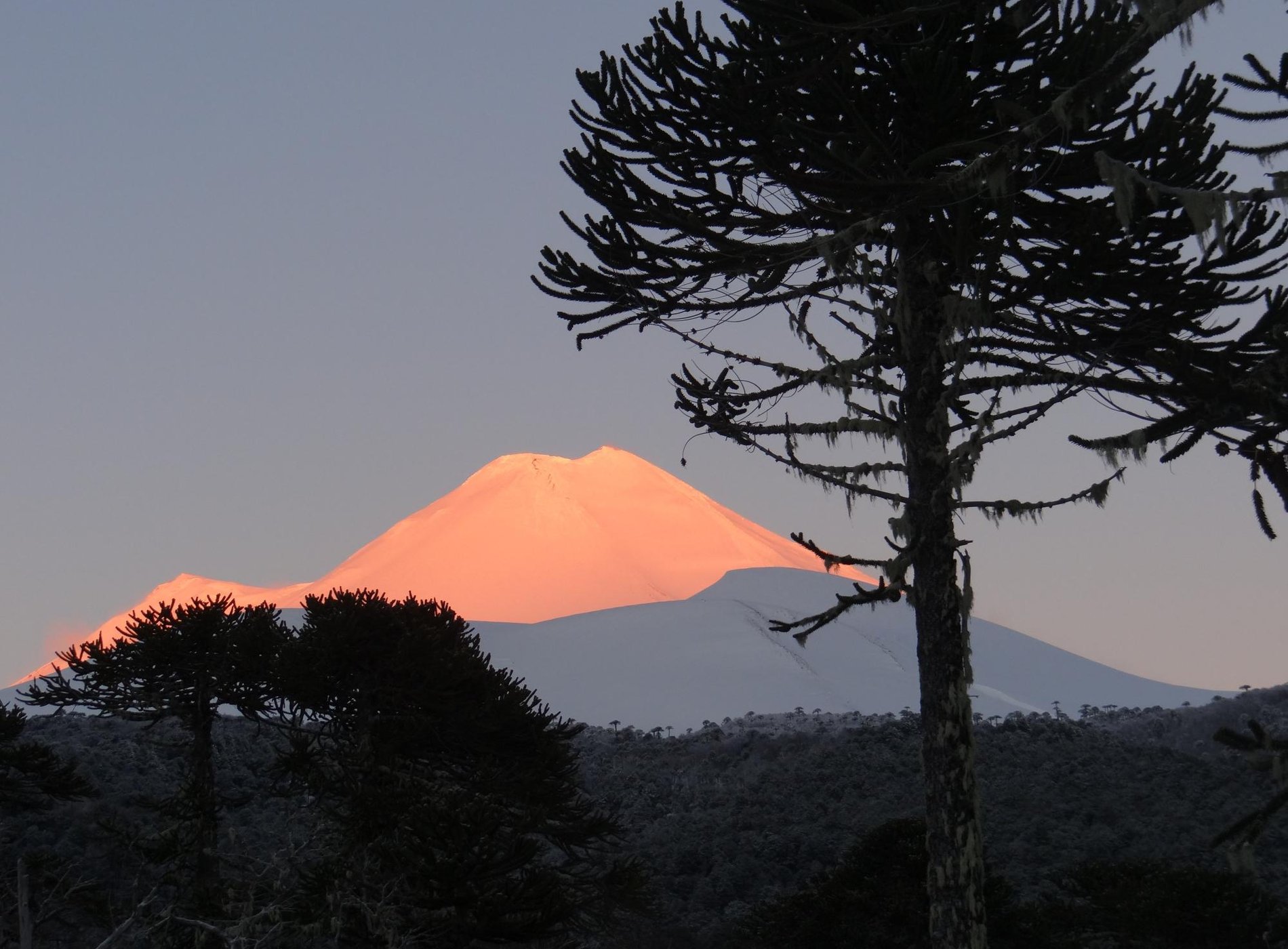 Lodge Conguillio by null