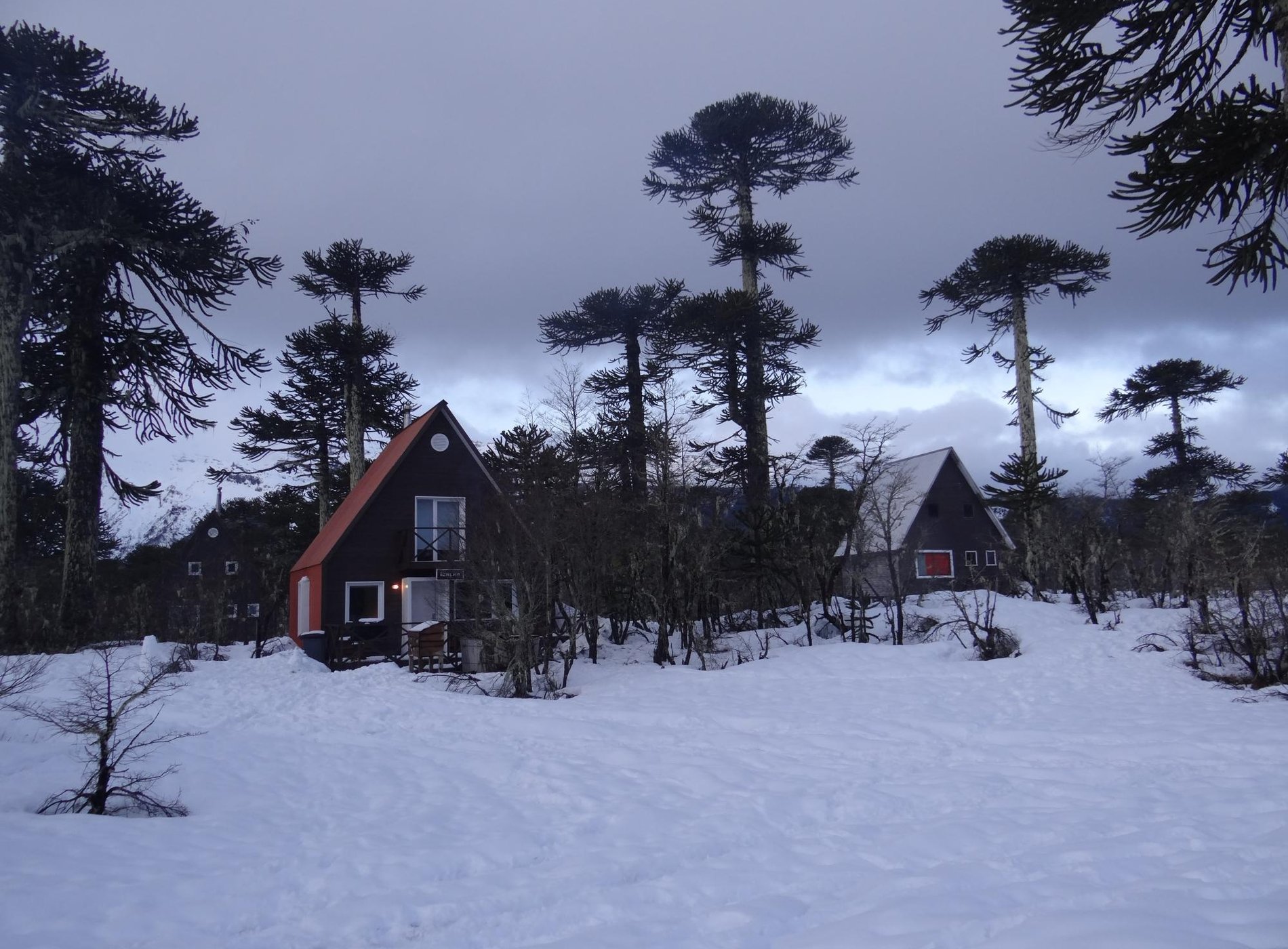 Lodge Conguillio by null
