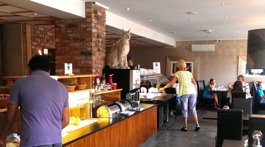 Breakfast. *strange decor, good food*