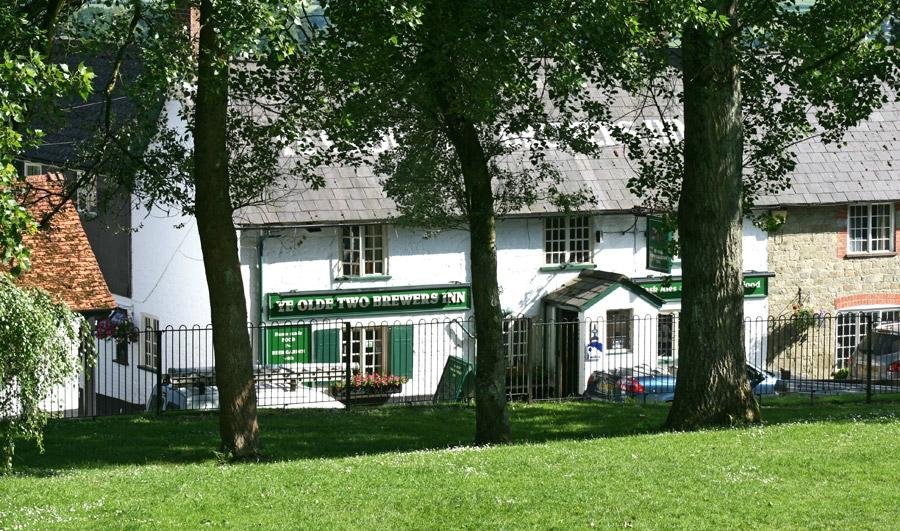 view from the park