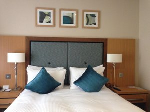 Room & Suite