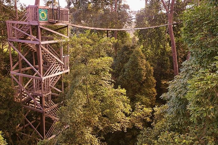 Keindahan Bukit Bangkirai dengan jembatan gantung yang menakjubkan, dikelilingi oleh hutan hujan tropis yang lebat di Kalimantan Timur