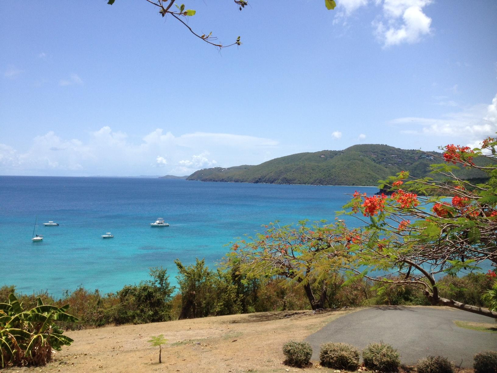 DIE 10 BESTEN Str Nde In St Thomas 2024 Tripadvisor   View Of Brewer S Bay 