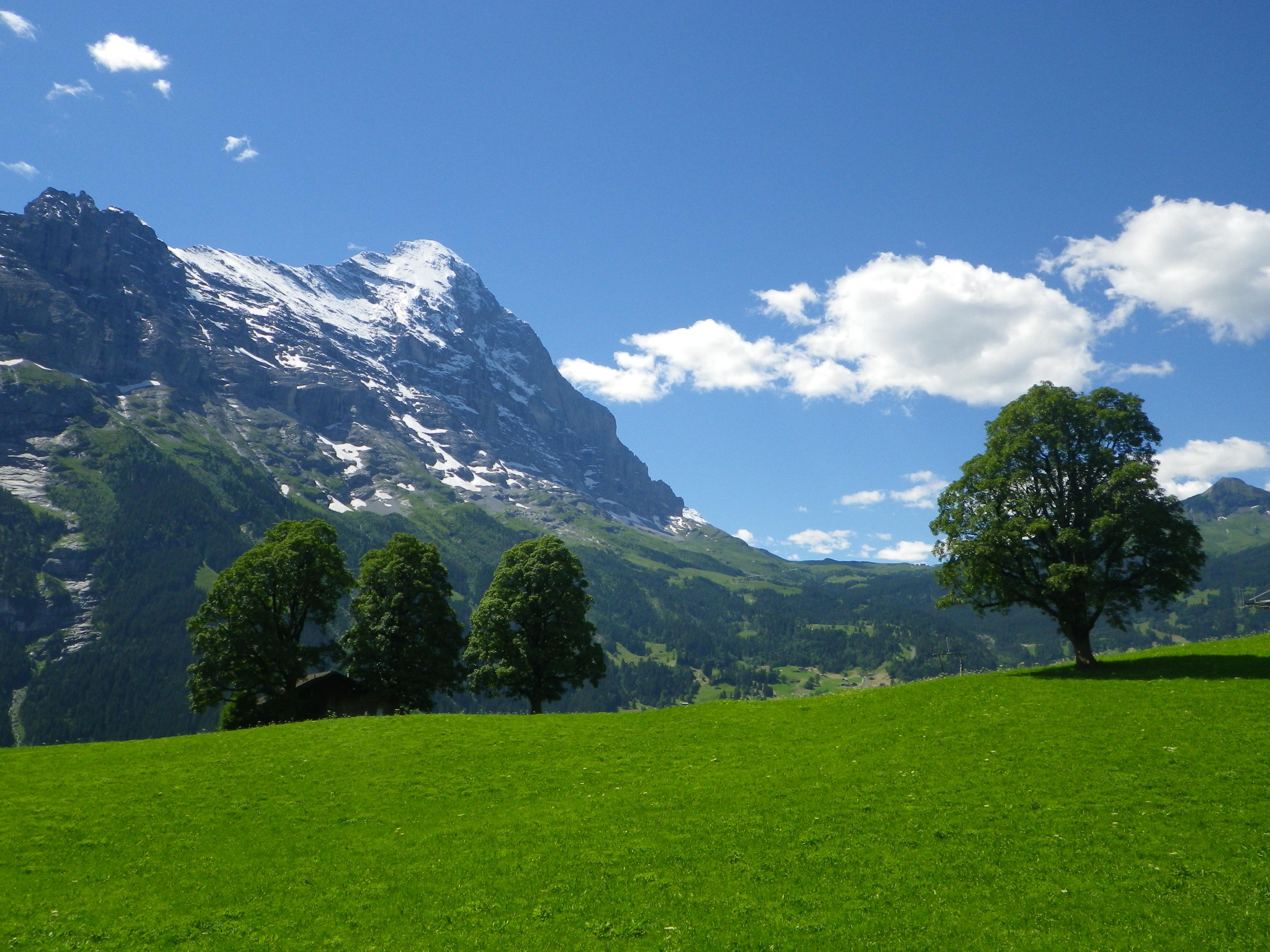 Grindelwald Youth Hostel Rooms: Pictures & Reviews - Tripadvisor