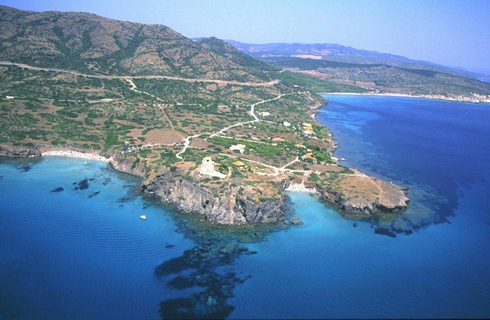 Turri