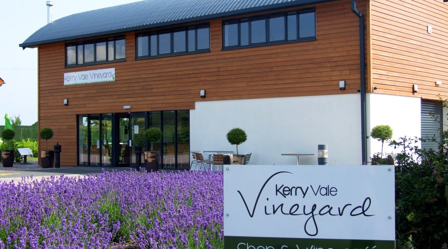 Wine cafe & cellar door shop