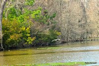 Martin Dies State Park, Dam B Texas