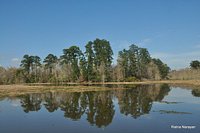 Martin Dies State Park, Dam B Texas